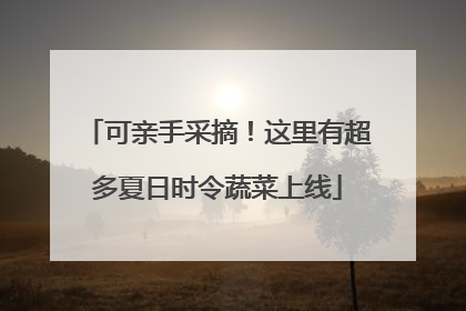 可亲手采摘！这里有超多夏日时令蔬菜上线