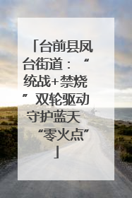 台前县凤台街道：“统战+禁烧”双轮驱动守护蓝天 “零火点”