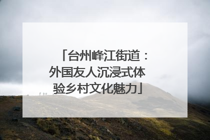 台州峰江街道：外国友人沉浸式体验乡村文化魅力