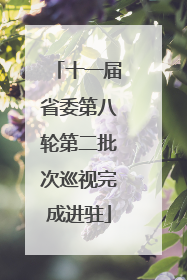 十一届省委第八轮第二批次巡视完成进驻
