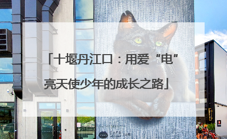 十堰丹江口：用爱“电”亮天使少年的成长之路