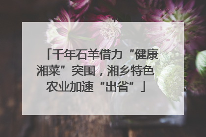 千年石羊借力“健康湘菜”突围，湘乡特色农业加速“出省”