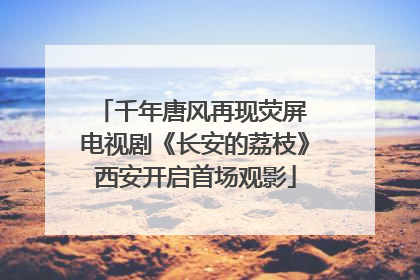 千年唐风再现荧屏 电视剧《长安的荔枝》西安开启首场观影