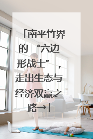 南平竹界的 “六边形战士”，走出生态与经济双赢之路→
