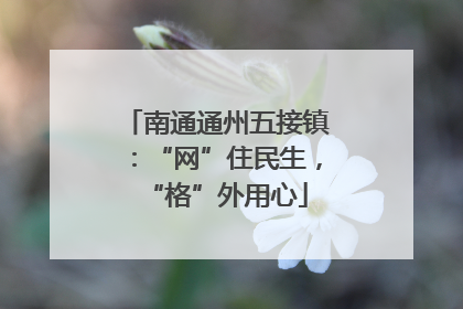 南通通州五接镇：“网”住民生，“格”外用心