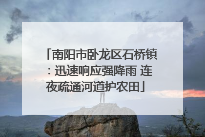 南阳市卧龙区石桥镇：迅速响应强降雨 连夜疏通河道护农田