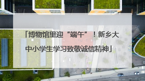 博物馆里迎“端午”！新乡大中小学生学习致敬诚信精神