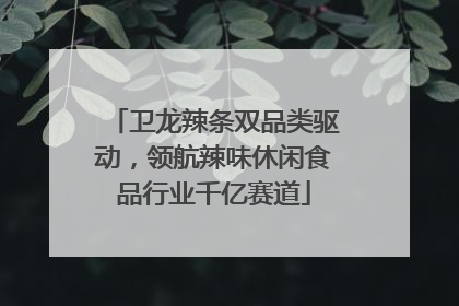 卫龙辣条双品类驱动，领航辣味休闲食品行业千亿赛道