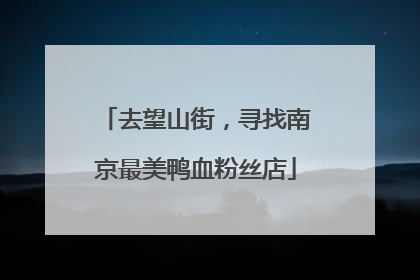 去望山街，寻找南京最美鸭血粉丝店