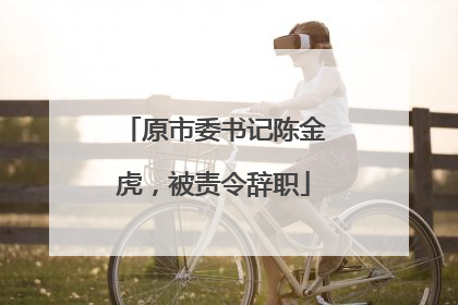 原市委书记陈金虎，被责令辞职