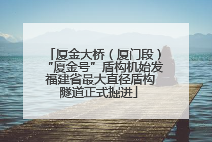 厦金大桥（厦门段）“厦金号”盾构机始发 福建省最大直径盾构隧道正式掘进