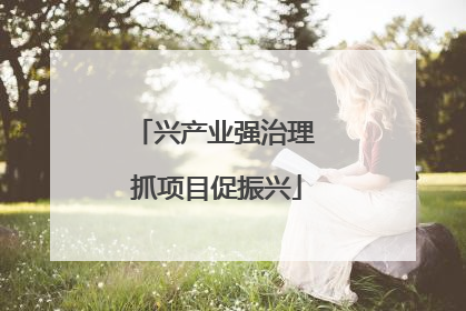 兴产业强治理 抓项目促振兴