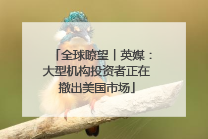 全球瞭望丨英媒：大型机构投资者正在撤出美国市场
