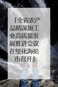 全省农产品精深加工业高质量发展推进会议在绥化海伦市召开