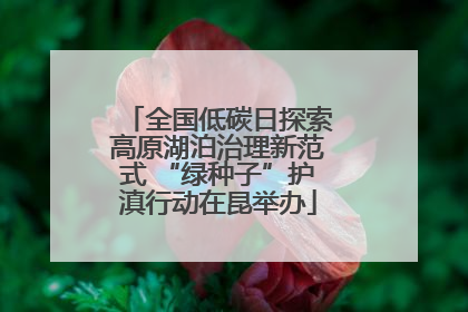 全国低碳日探索高原湖泊治理新范式 “绿种子”护滇行动在昆举办