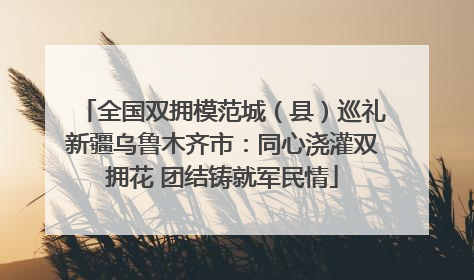 全国双拥模范城（县）巡礼新疆乌鲁木齐市：同心浇灌双拥花 团结铸就军民情