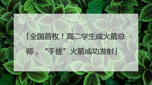 全国首枚！高二学生成火箭总师，“手搓”火箭成功发射