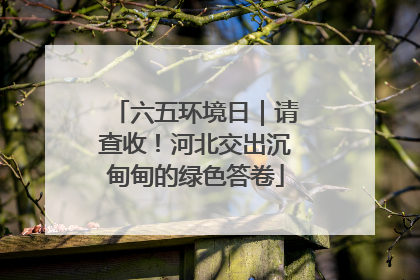 六五环境日｜请查收！河北交出沉甸甸的绿色答卷