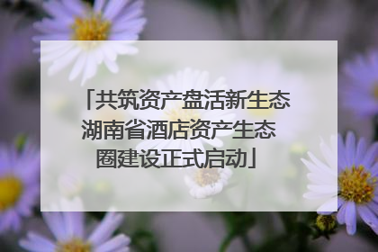 共筑资产盘活新生态 湖南省酒店资产生态圈建设正式启动
