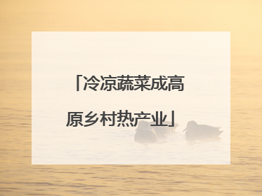 冷凉蔬菜成高原乡村热产业