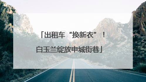 出租车“换新衣”！白玉兰绽放申城街巷