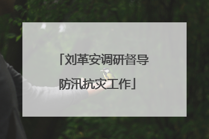 刘革安调研督导防汛抗灾工作