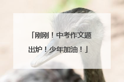 刚刚！中考作文题出炉！少年加油！