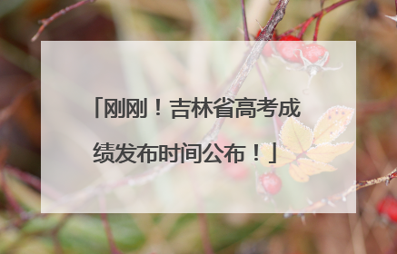 刚刚！吉林省高考成绩发布时间公布！