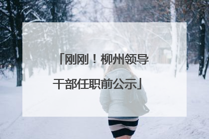 刚刚！柳州领导干部任职前公示