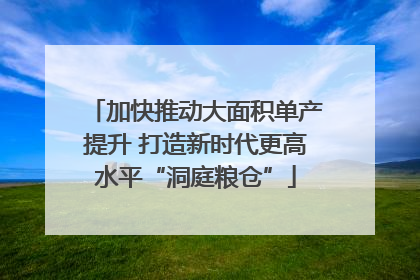 加快推动大面积单产提升 打造新时代更高水平“洞庭粮仓”
