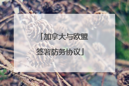 加拿大与欧盟签署防务协议