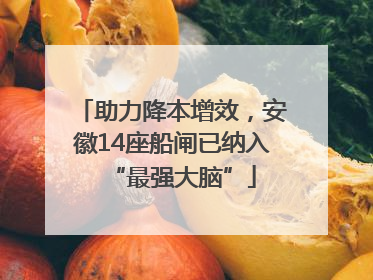 助力降本增效，安徽14座船闸已纳入“最强大脑”