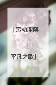 劳动淄博 平凡之歌