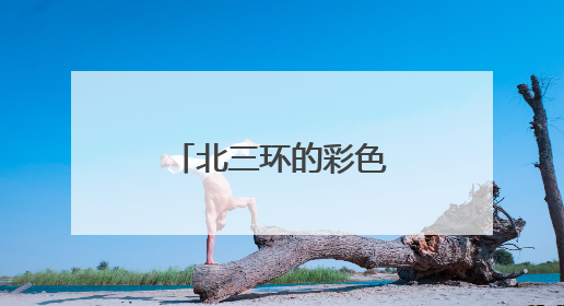 北三环的彩色油菜花开了，就在朝阳安贞