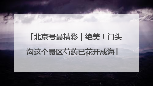 北京号最精彩｜绝美！门头沟这个景区芍药已花开成海