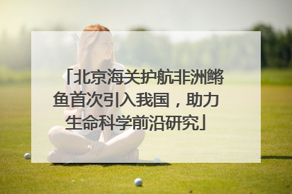北京海关护航非洲鳉鱼首次引入我国，助力生命科学前沿研究