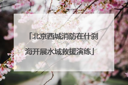北京西城消防在什刹海开展水域救援演练
