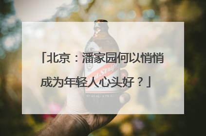 北京:潘家园何以悄悄成为年轻人心头好?