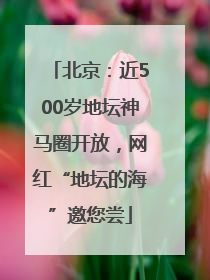北京：近500岁地坛神马圈开放，网红“地坛的海”邀您尝