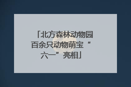 北方森林动物园百余只动物萌宝“六一”亮相