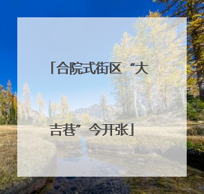 合院式街区“大吉巷”今开张