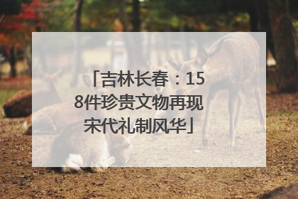 吉林长春：158件珍贵文物再现宋代礼制风华