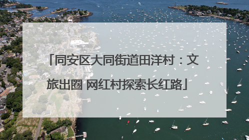 同安区大同街道田洋村：文旅出圈 网红村探索长红路