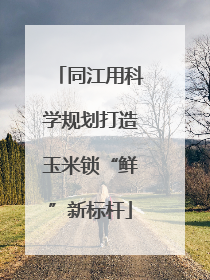 同江用科学规划打造玉米锁“鲜”新标杆