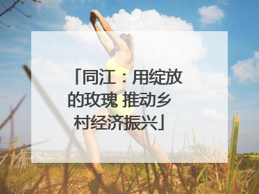 同江：用绽放的玫瑰 推动乡村经济振兴