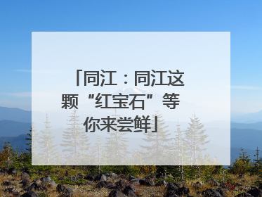 同江：同江这颗“红宝石”等你来尝鲜