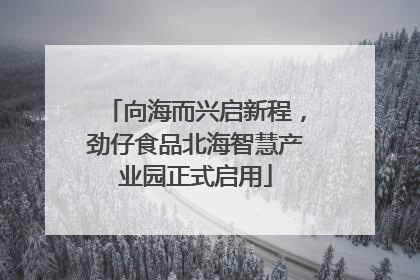 向海而兴启新程，劲仔食品北海智慧产业园正式启用