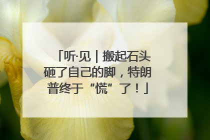 听·见｜搬起石头砸了自己的脚，特朗普终于“慌”了！