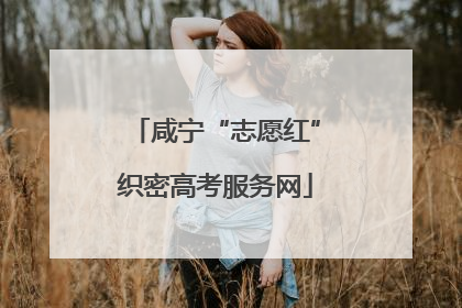 咸宁“志愿红”织密高考服务网