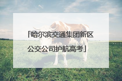 哈尔滨交通集团新区公交公司护航高考